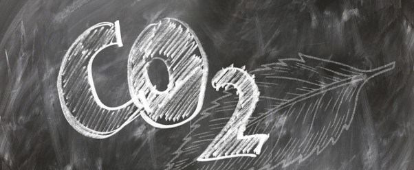 Webinar: Klimaneutralität – Was bringt das meinem Unternehmen? Wie fange ich damit an?