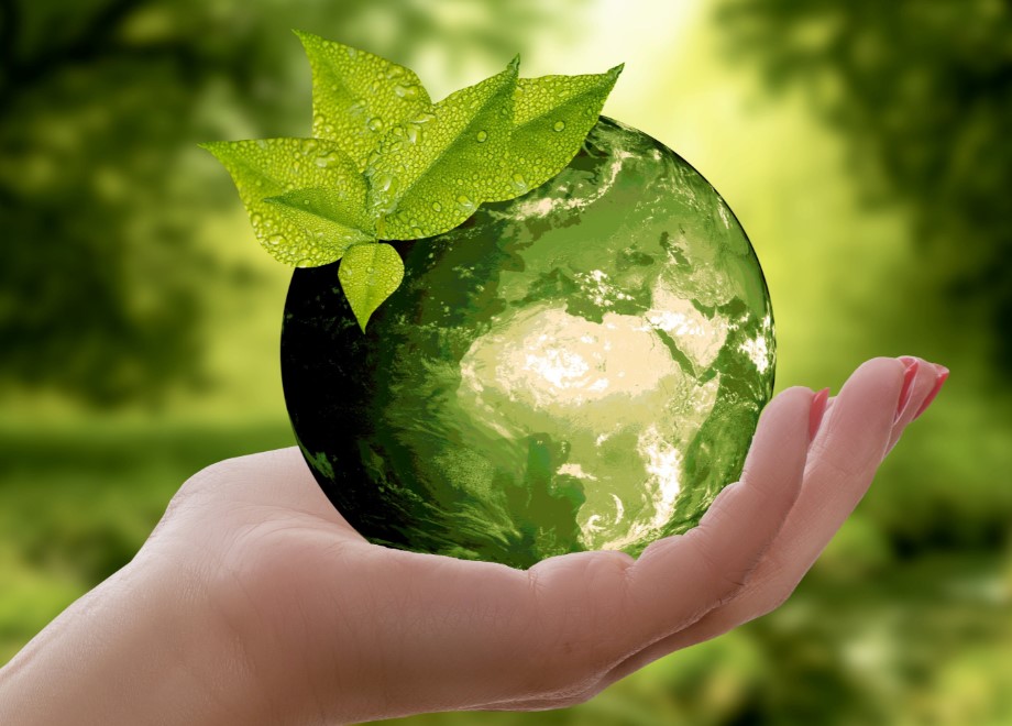 ERFA-Kreis Verpackung & Recycling – 20. Mai 2021