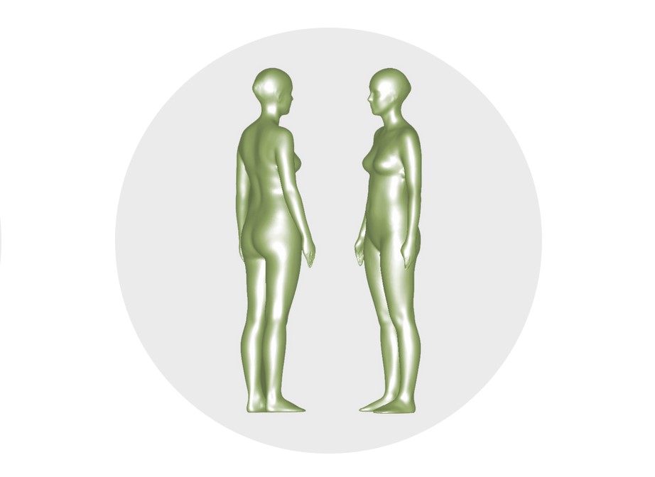 Grund­la­gen: Di­gi­ta­le Pass­form­mo­dels & Ava­ta­re