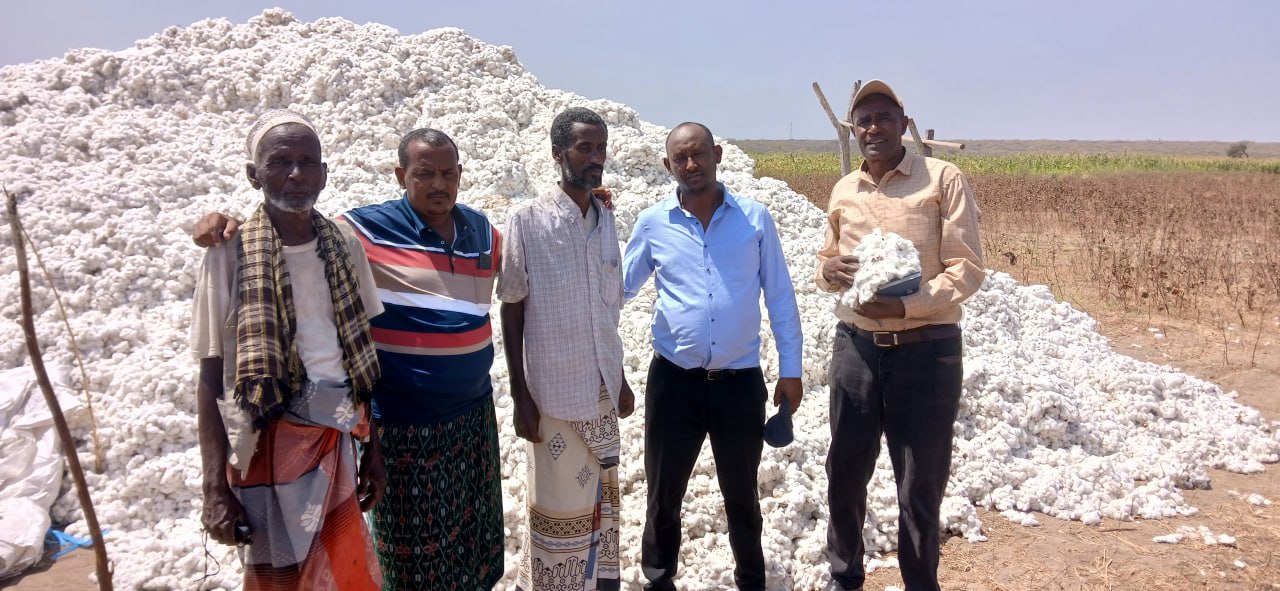 Baumwollzertifizierung in Äthiopien: Auf dem Weg zum Bio-Garn