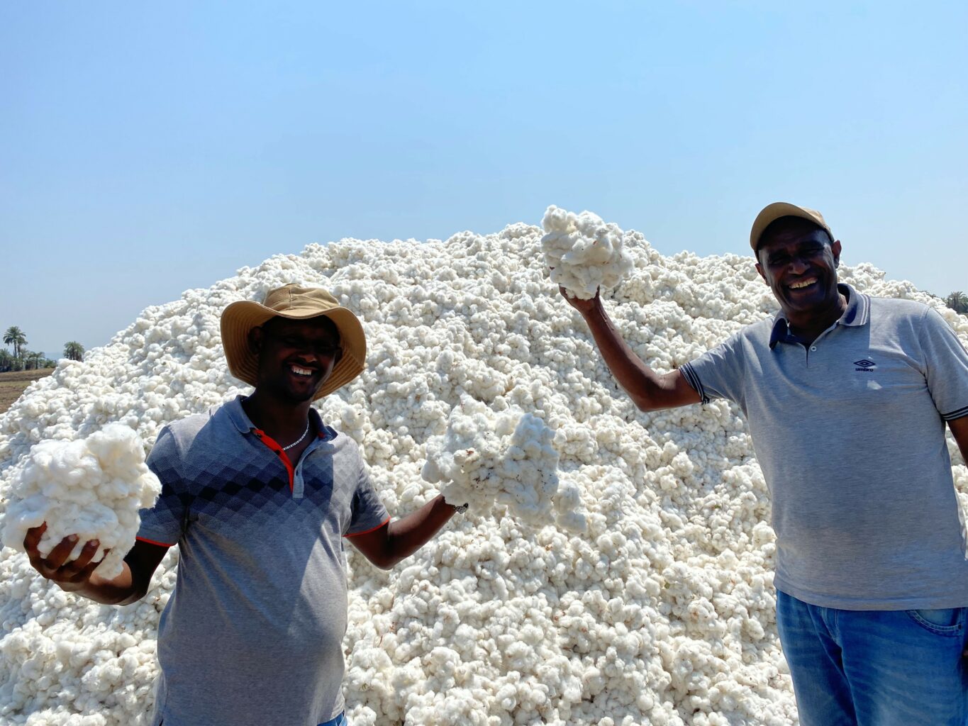 Biobaumwolle für Äthiopiens textile Zukunft