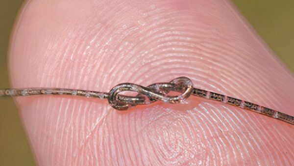 Wenn Fasern zu Computern werden