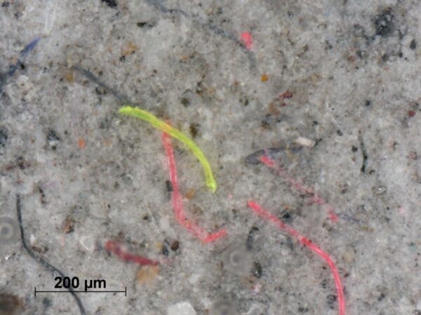 Textiler Kaskadenfilter gegen Mikroplastik im Abwasser